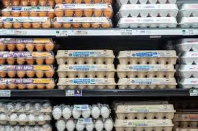 Midwest Poultry Services recalls 1,589,577 dozen Eggs Recall cartons