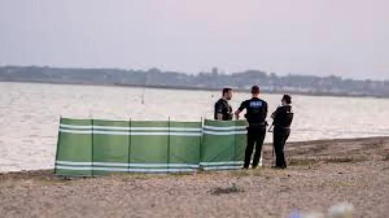 Essex Fire: Shalina Rahman, Sameeha die helping boy