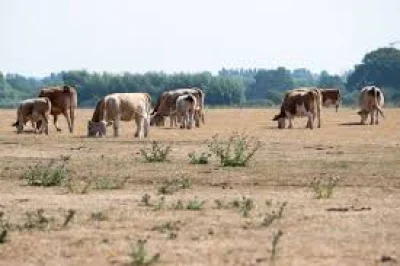 Natural Resources Wales declares Cardiff Weather drought in north Wales, Upper Severn
