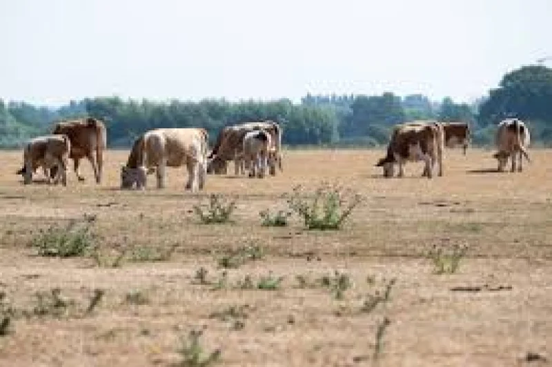 Natural Resources Wales declares Cardiff Weather drought in north Wales, Upper Severn