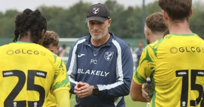 World Cup trio return in Norwich City F.c. 2-0 win over Fulham