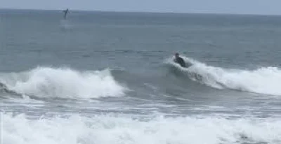 Soaren Stevenson films Newport Beach Shark Breach Video, Brother-In-Law Unaware