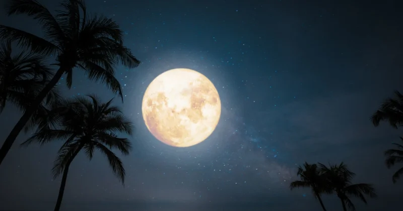 Scott Stump Tracks July 29 Buck Moon Peak for Full Moon Horoscopes