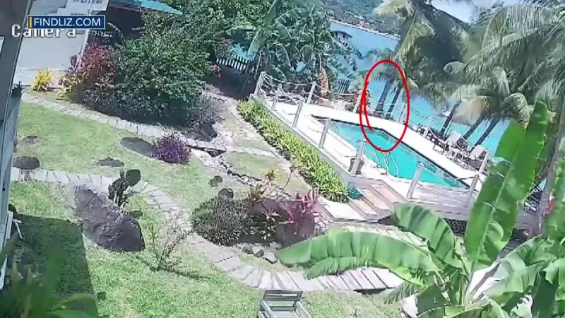 Elizabeth Waddell Search video shows Grenada water entry before disappearance