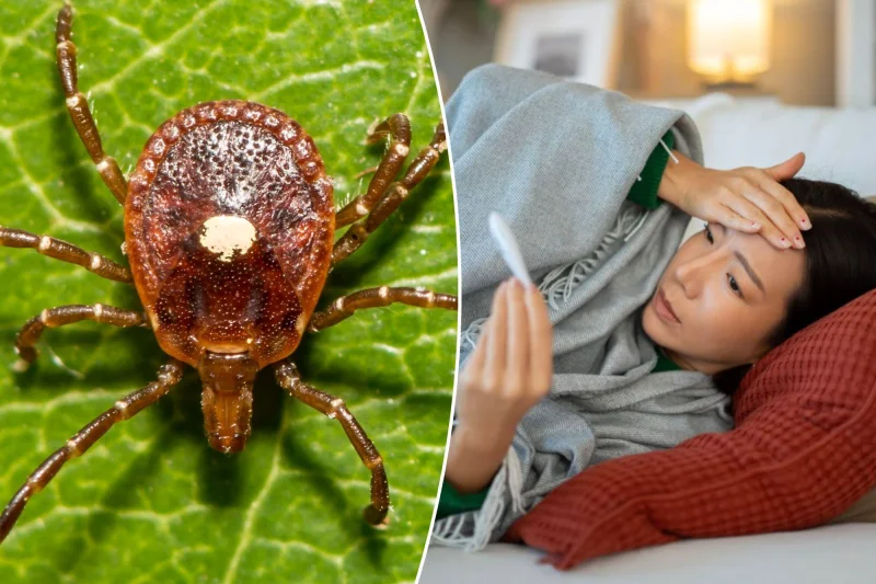 Stony Brook Medicine Finds First Bourbon Virus Case in New York