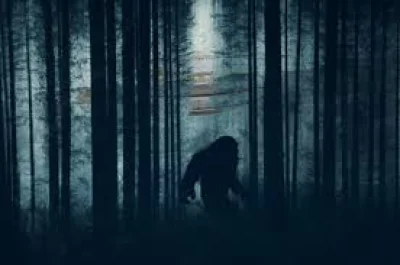 Richard Fedor links Bigfoot sighting to Pachaug State Forest, 22 reports