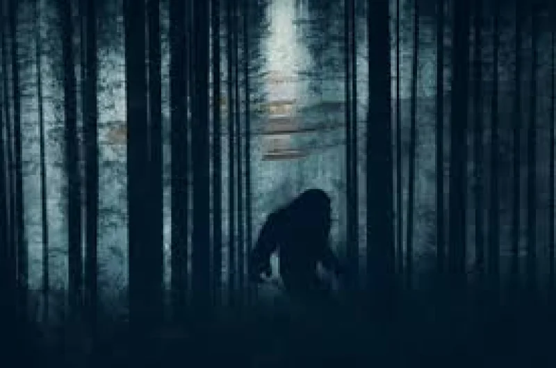 Richard Fedor links Bigfoot sighting to Pachaug State Forest, 22 reports