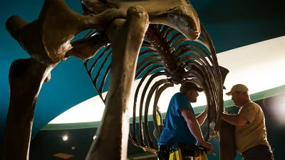 Euronews separates Danube Woolly Mammoth Bones from TV promo copy