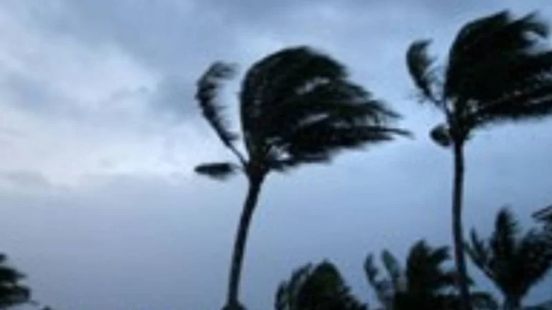 Wind Advisory Issued for Oahu, Maui County and Hawaii