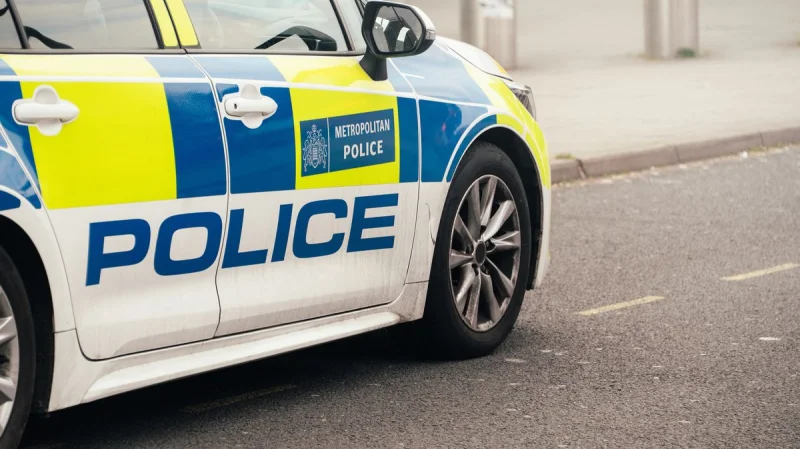 Met Police halt Ghana Party In The Park Crush after injuries