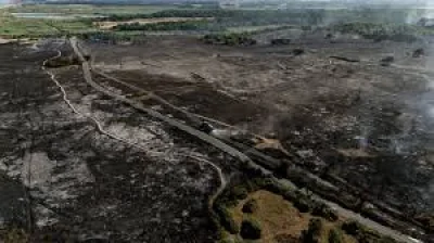 Hilary McGrady launches National Trust appeal after 150 hectares burn