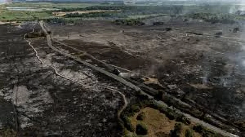 Hilary McGrady launches National Trust appeal after 150 hectares burn