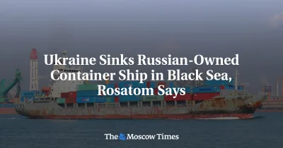 Rosatom Says Yanina Container Ship Sank Near Novorossiysk