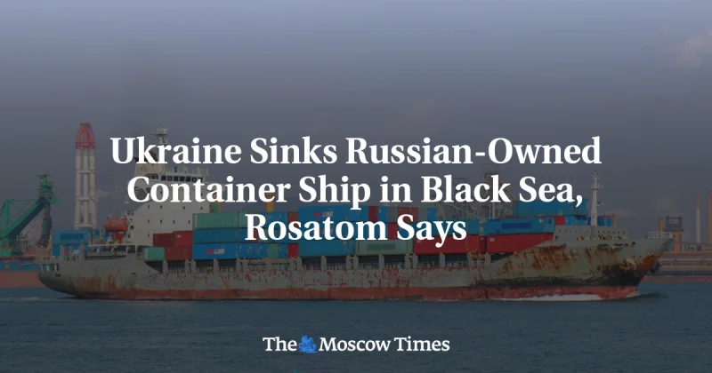Rosatom Says Yanina Container Ship Sank Near Novorossiysk