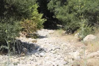 San Diego Forms El Niño Working Group for 70 Wet Days — El Niño Snow Forecast