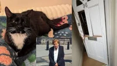 Katherine Theodotou sues Metropolitan Police and Rspca over Rita