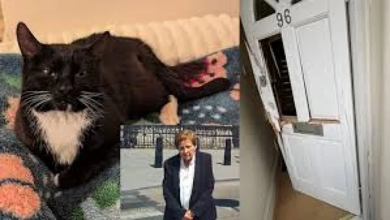 Katherine Theodotou sues Metropolitan Police and Rspca over Rita