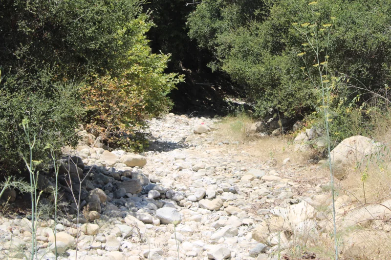 San Diego Braces for Super El Niño Snowfall Predictions in 2026