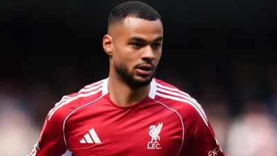 Tottenham to step up pursuit of Cody Gakpo - Cody Gakpo Transfer News now looks like a serious £70m-plus gamble