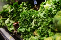Sysco Stops Buying Mexican Iceberg Lettuce Amid Cyclospora Outbreak