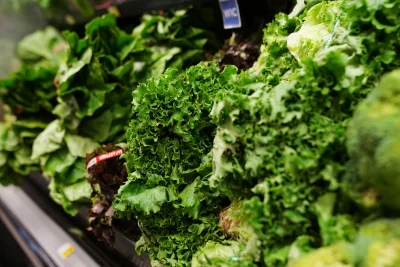 Sysco Stops Buying Mexican Iceberg Lettuce Amid Cyclospora Outbreak