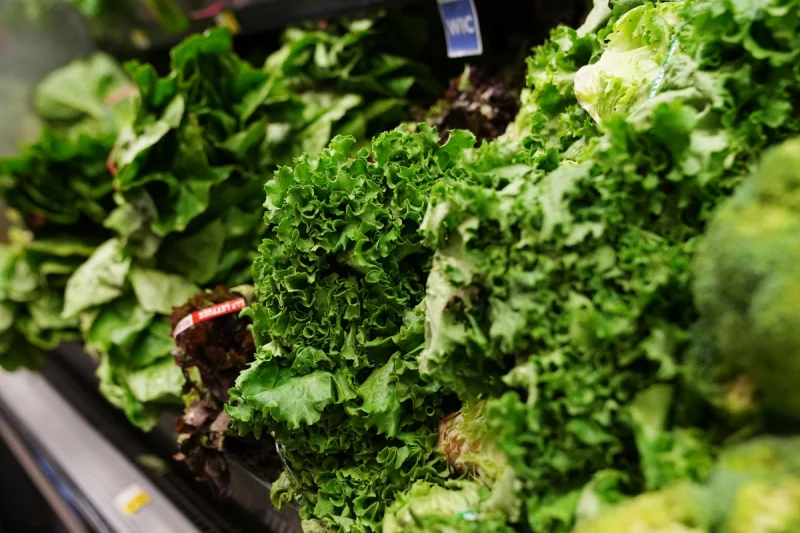 Sysco Stops Buying Mexican Iceberg Lettuce Amid Cyclospora Outbreak