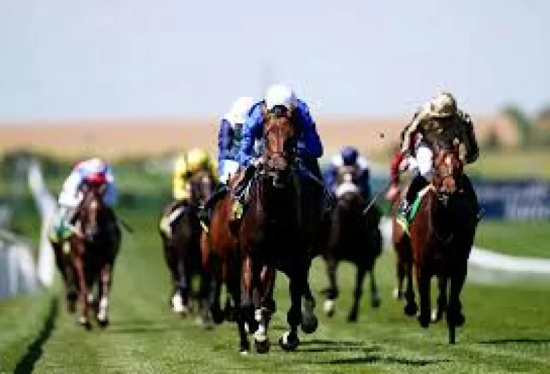 Free horseracing tips for Thursday, August 6 at four racecourses — Betfair