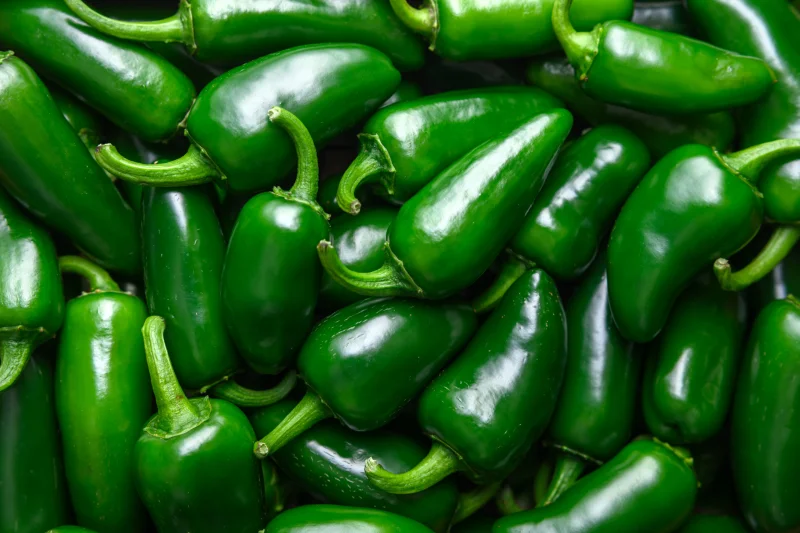 CDC warns of 345-case Jalapeño Salmonella Outbreak in 27 states