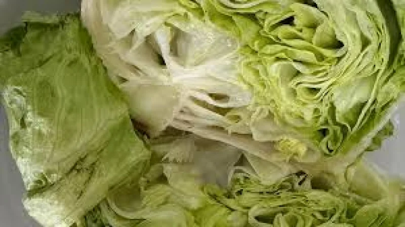 Dr. Catherine Brown Calms Massachusetts Cyclospora Outbreak Cases at 147