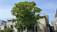 Plymouth City Council pauses Sir John Hawkins Square rename, Plymouth Live says