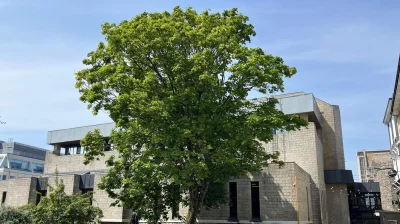 Plymouth City Council pauses Sir John Hawkins Square rename, Plymouth Live says