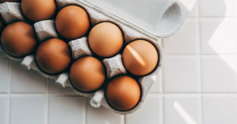 CDC Tracks 98 Illnesses in Salmonella Outbreak Linked To Eggs