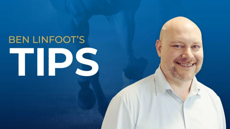 Four selections for Ascot’s Shergar Cup, including Asgard’s Captain at 13/2 and Mister Winston at 12/1
