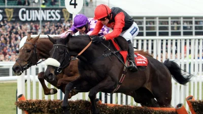 Big Buck's dies aged 23 after rewriting the Cheltenham Festival staying-hurdle story