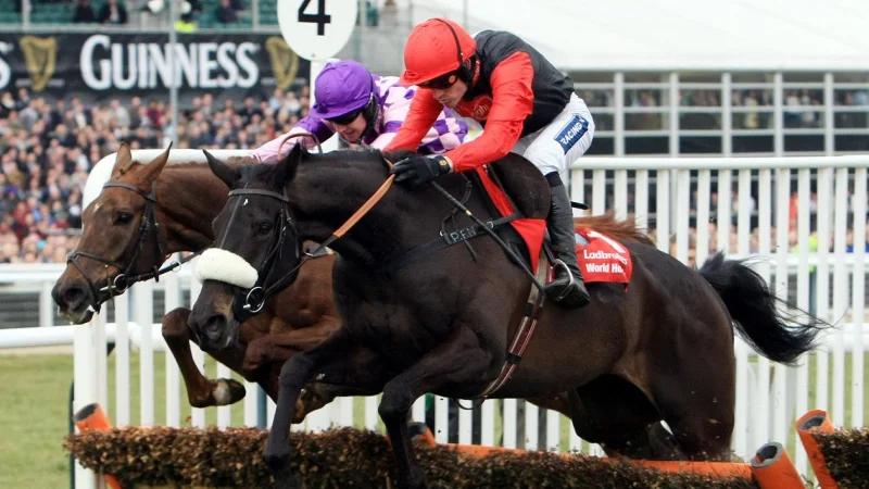 Big Buck's dies aged 23 after rewriting the Cheltenham Festival staying-hurdle story
