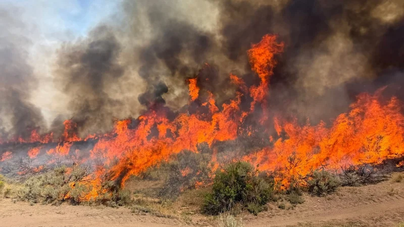 Tyler Hecht says Firefighting crews will reach Widemouth 2 crash site