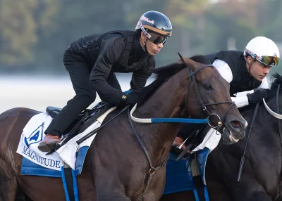Jose Ortiz has a simple problem to solve — Whitney Stakes 2026 ride call now sits between Magnitude and Nitrogen