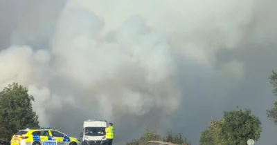 A31 Fire Causes Long Delays in New Forest Traffic