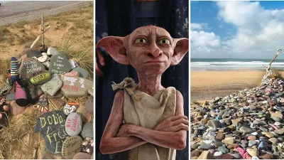 Euronews Diverts Cable to Protect Dobby's Grave
