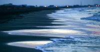 Louisiana Warns Residents After Five Deaths From Louisiana Gulf Coast Vibrio Bacteria