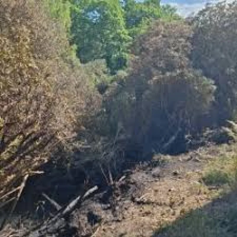 Matt Rowe says New Wildfire near Hale Purlieu is extinguished