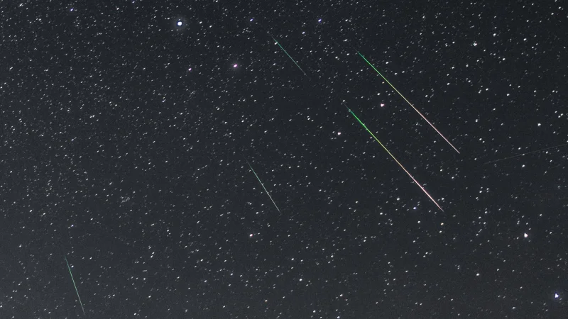 Kelly Beatty says Perseid Meteor Shower 2026 peaks at 9 p.m.
