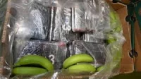 Border Force Seizes 2.9 Tonnes of Cocaine at London Gateway Port