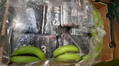 Border Force Seizes 2.9 Tonnes of Cocaine at London Gateway Port