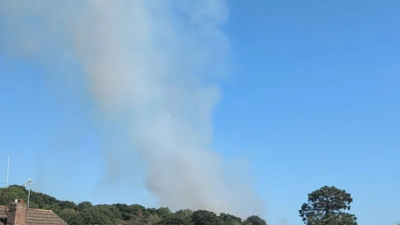 Devon and Somerset Fire and Rescue Service closes Puriton Hill blaze after ten-station response — Exeter Fire