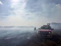 Hampshire fire and rescue service keeps 120 on New Forest blaze — Is The A31 Still Closed?