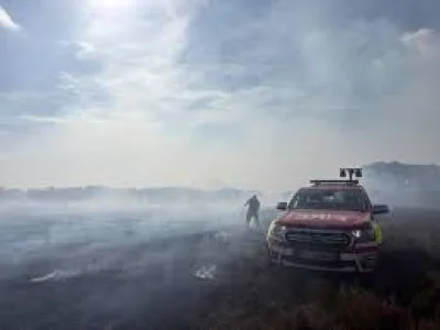 Hampshire fire and rescue service keeps 120 on New Forest blaze — Is The A31 Still Closed?