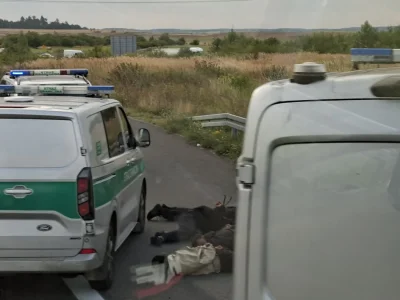 Katarzyna Przybysz potwierdza 8 zatrzymań przy granicy Migration