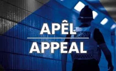 Gwent Police launch murder investigation after Pontnewynydd death