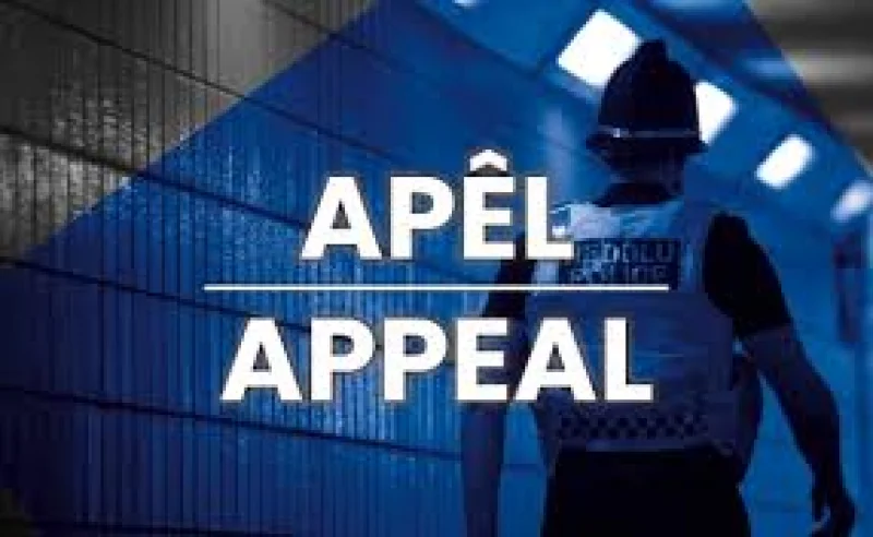 Gwent Police launch murder investigation after Pontnewynydd death